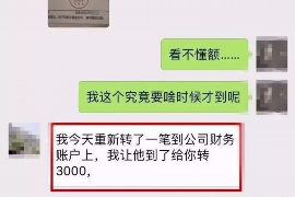 讨债人删减画面：揭秘债务催收中的法律与道德边界